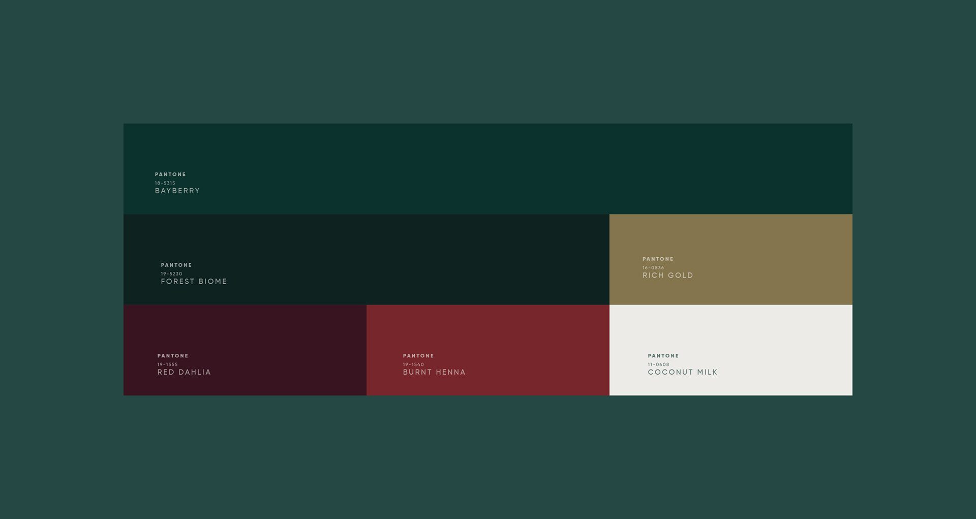 Packaging Design - Branding Agency Work