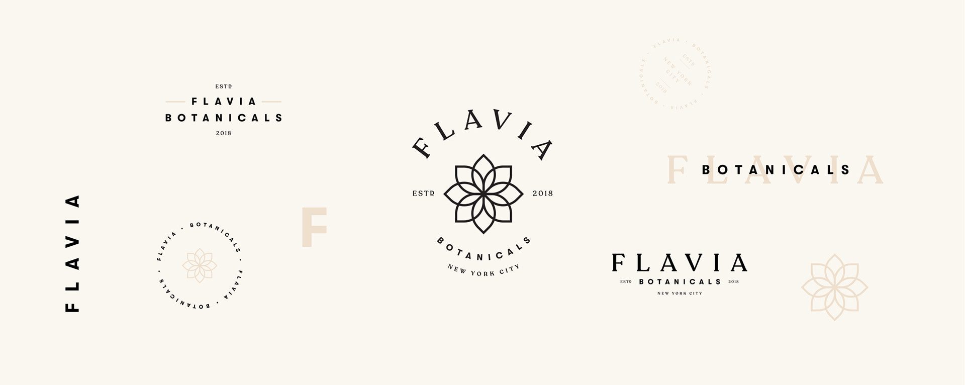 Brand Design - Branding Agency Portfolio