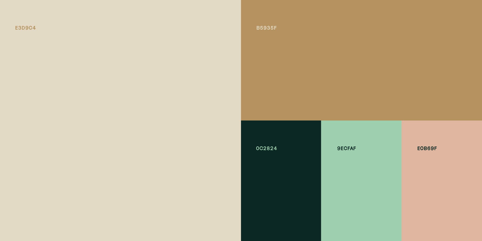 Brand Design - Brand Design Agency