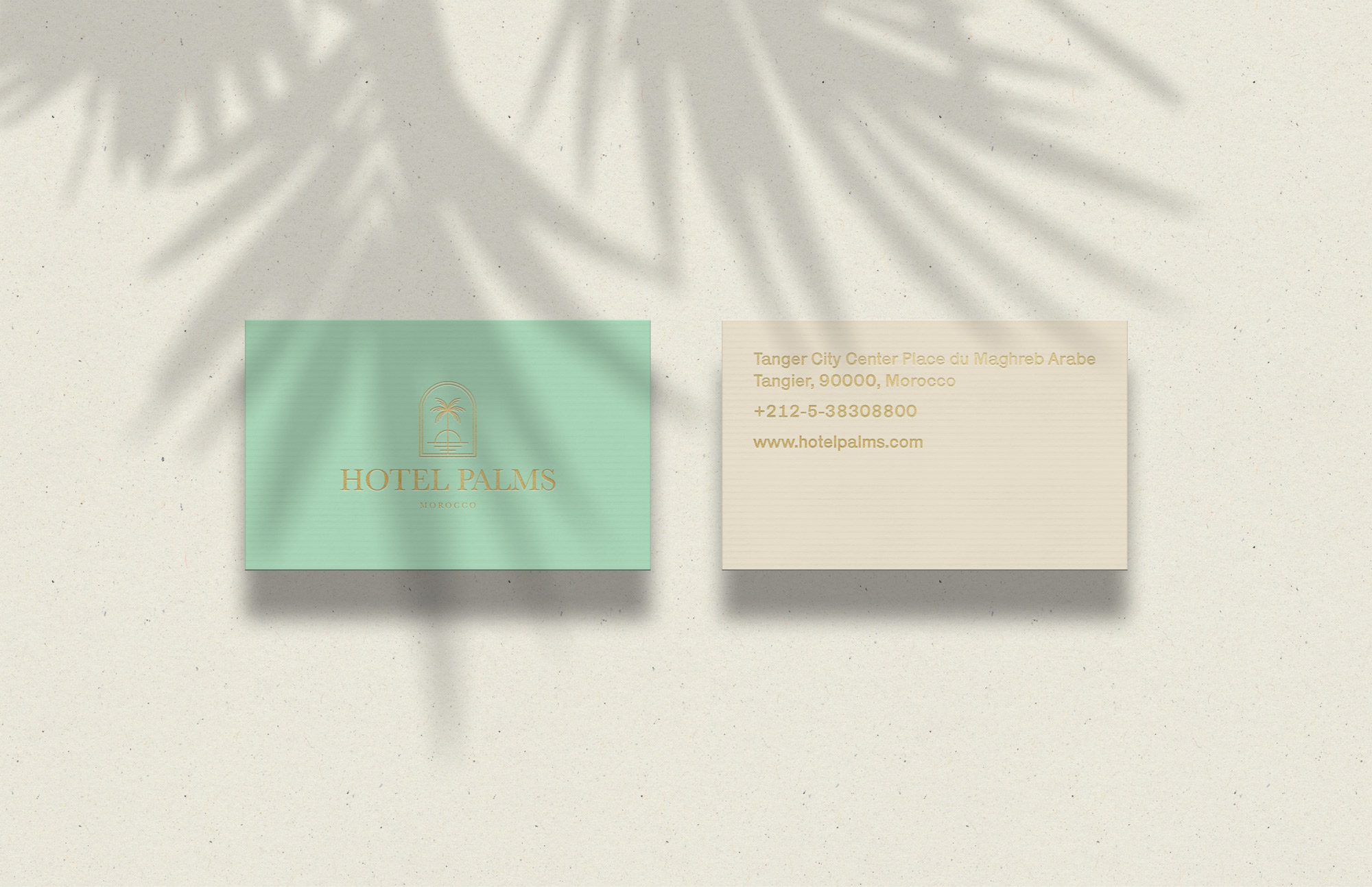 Packaging Design - Branding Agency Work