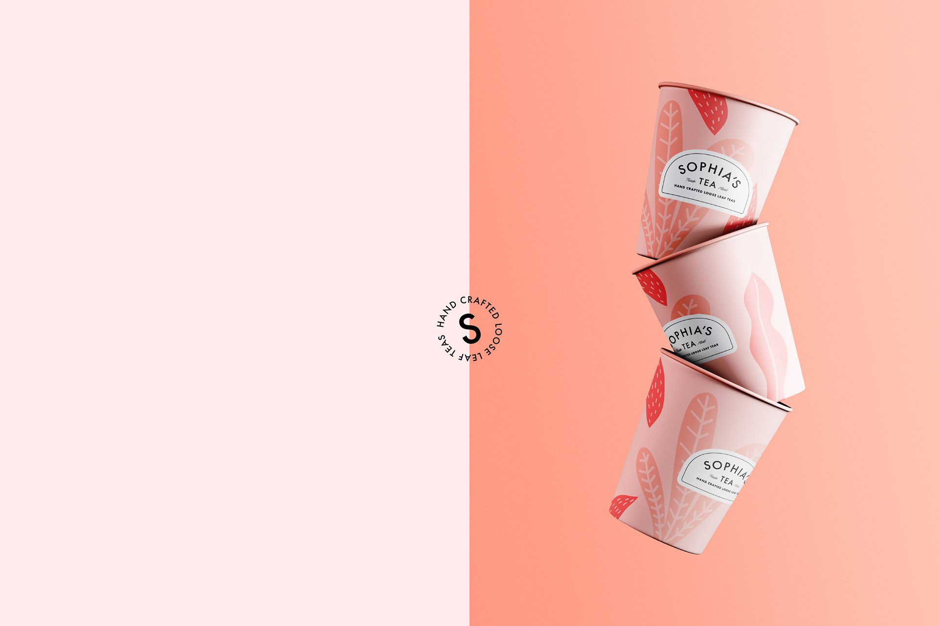 Packaging Design - Branding Agency Work