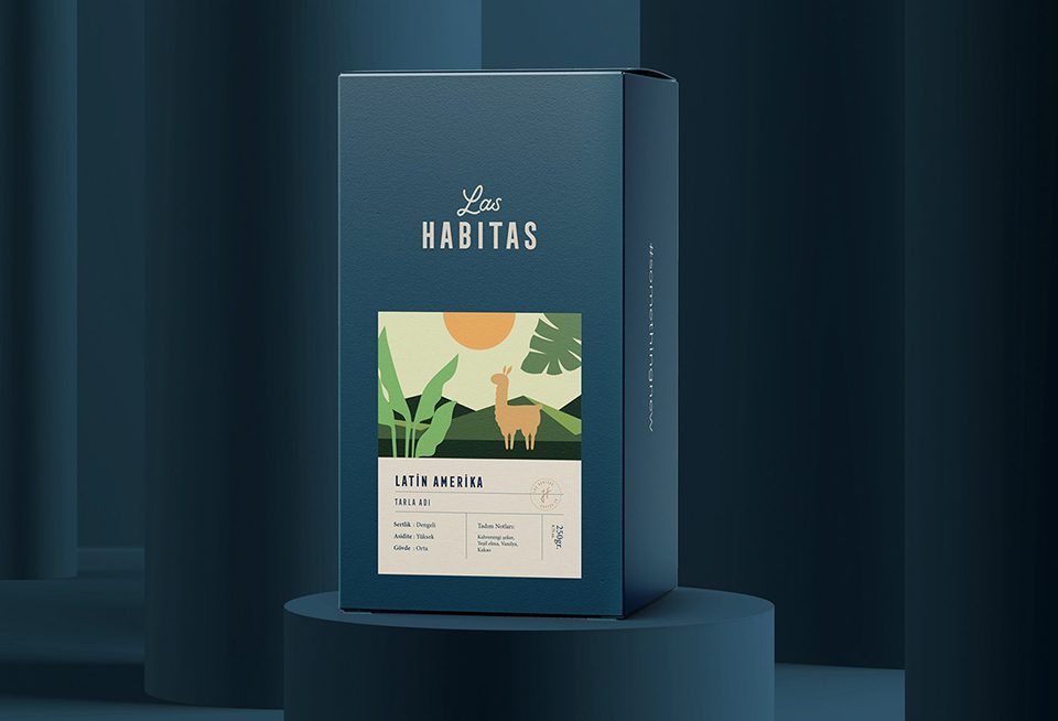Brand Strategy - Branding Agency Services
