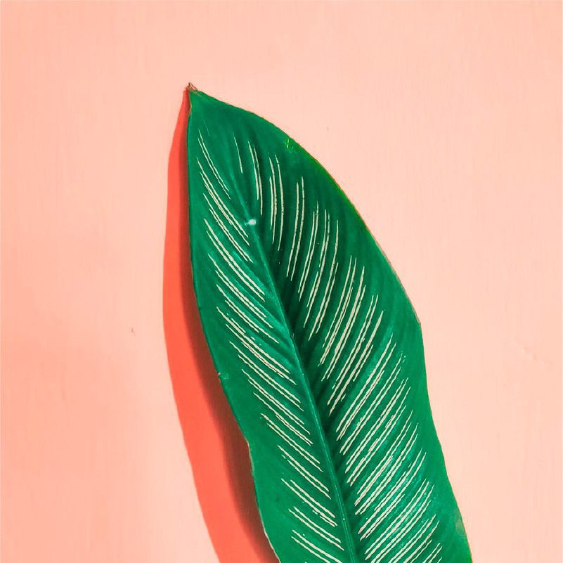 Brand Identity - Brand Design Agency Work