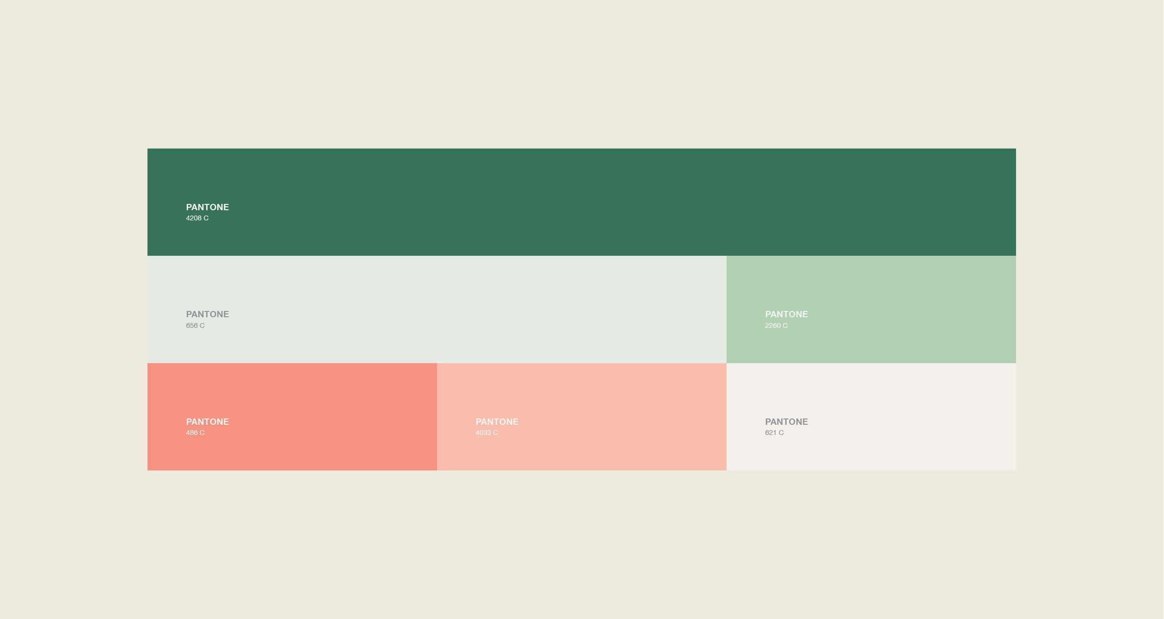 Packaging Design - Branding Agency Work