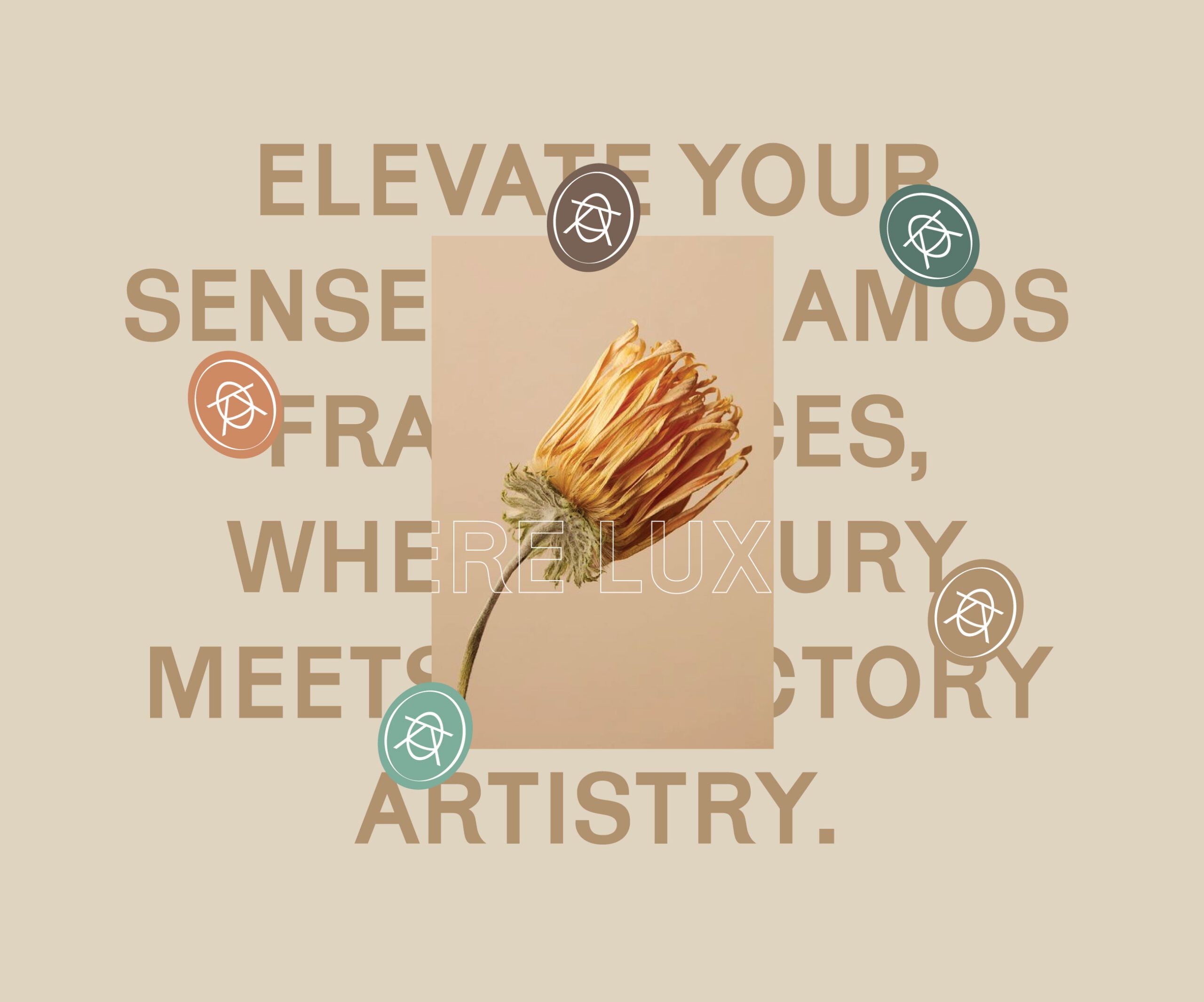 Packaging Design - Branding Agency Work