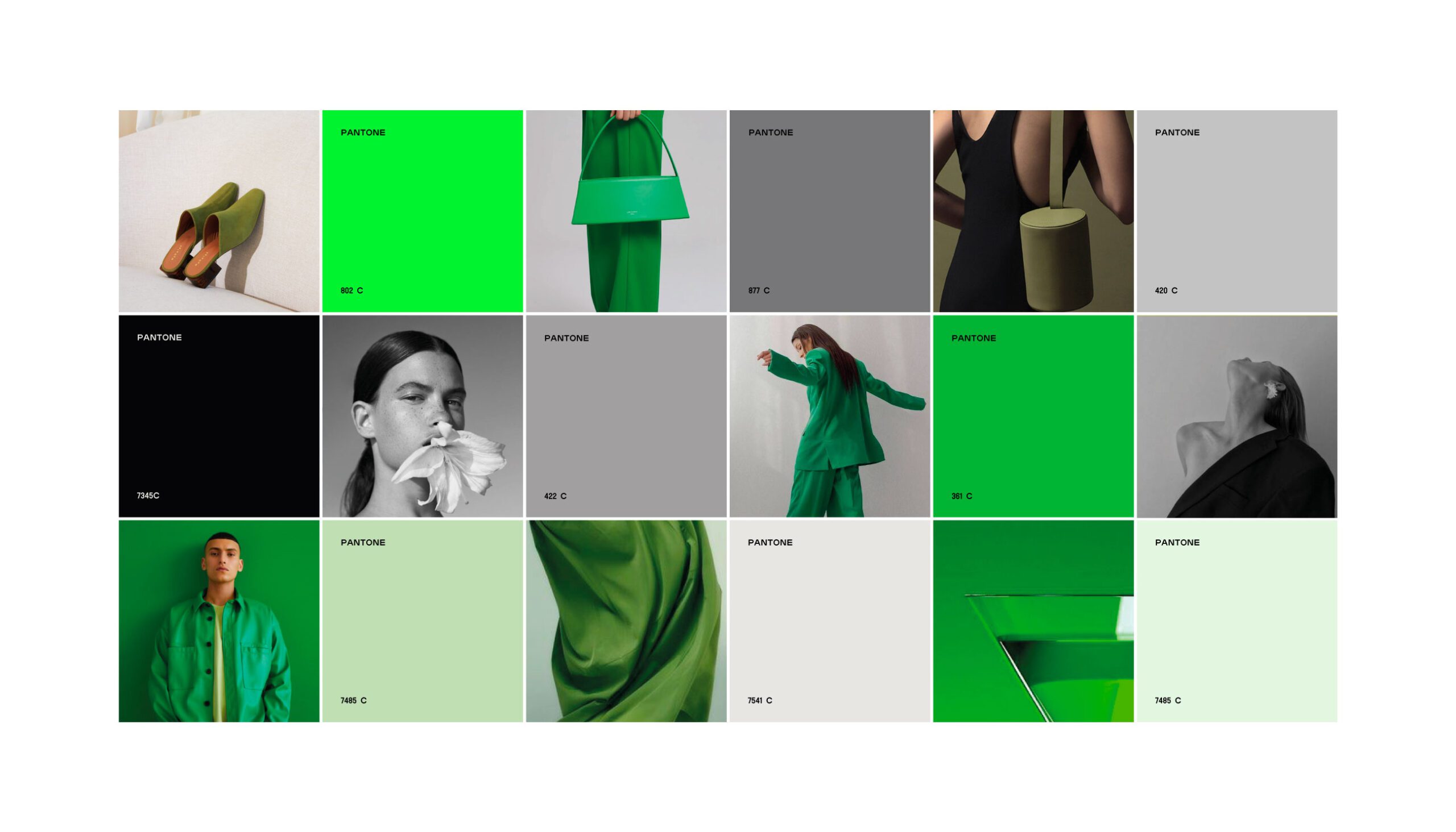 Brand Design - Branding Agency Portfolio