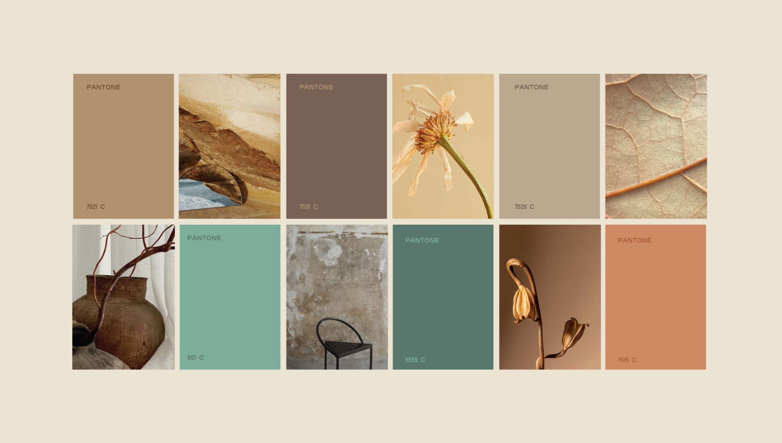 Brand Design - Branding Agency Portfolio