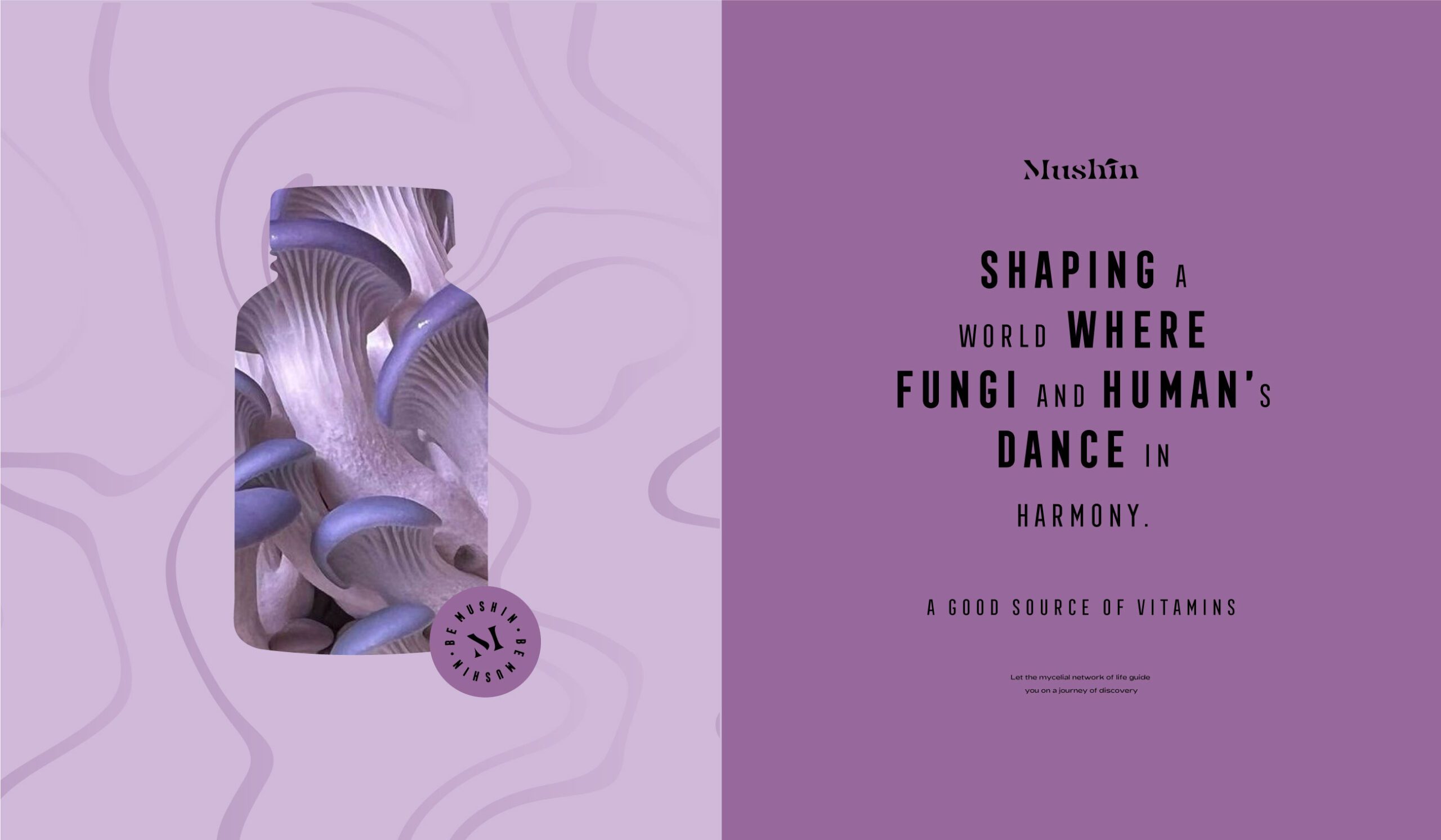 Packaging Design - Branding Agency London Dubai