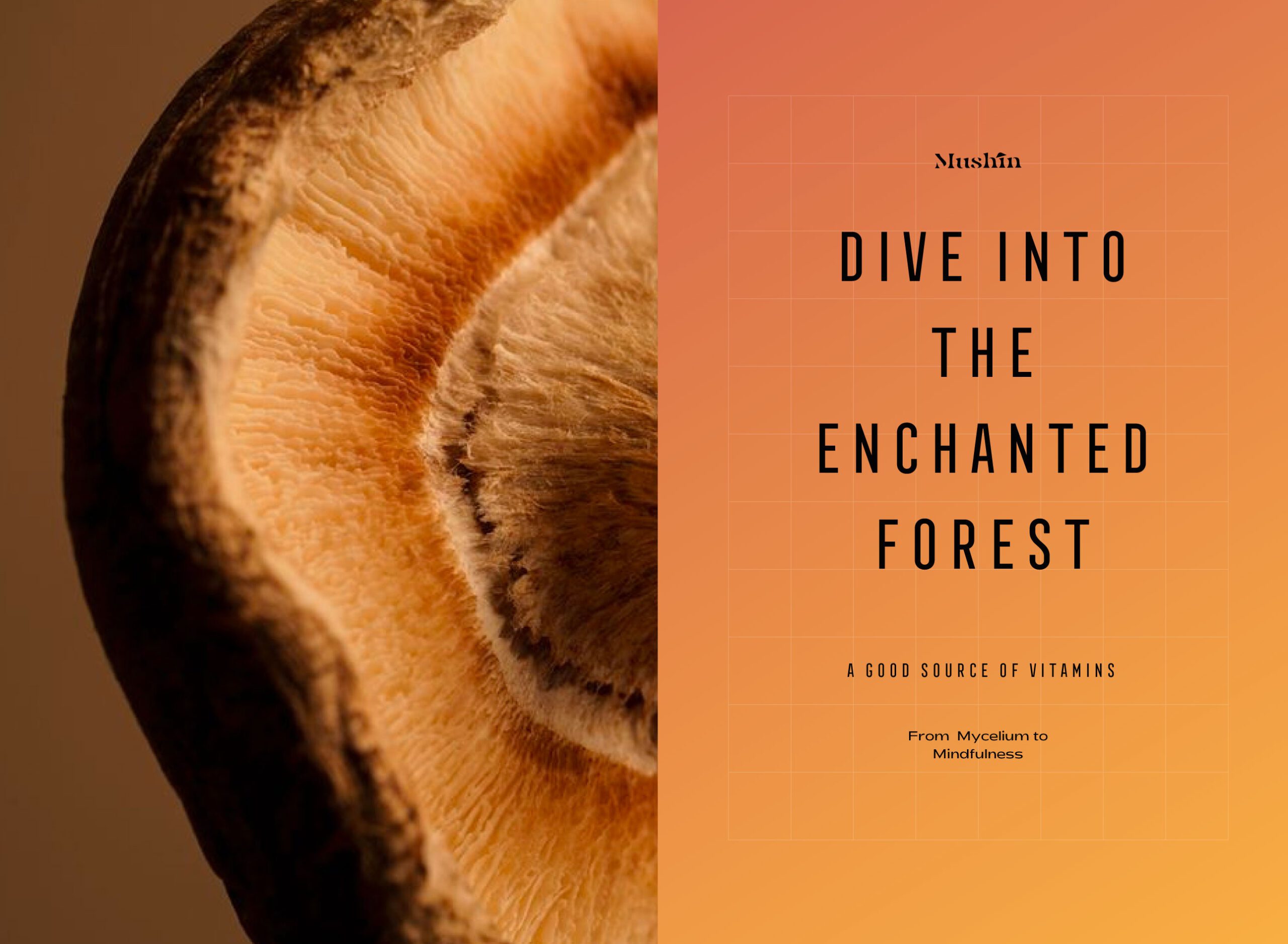 Brand Identity System - Branding Agency