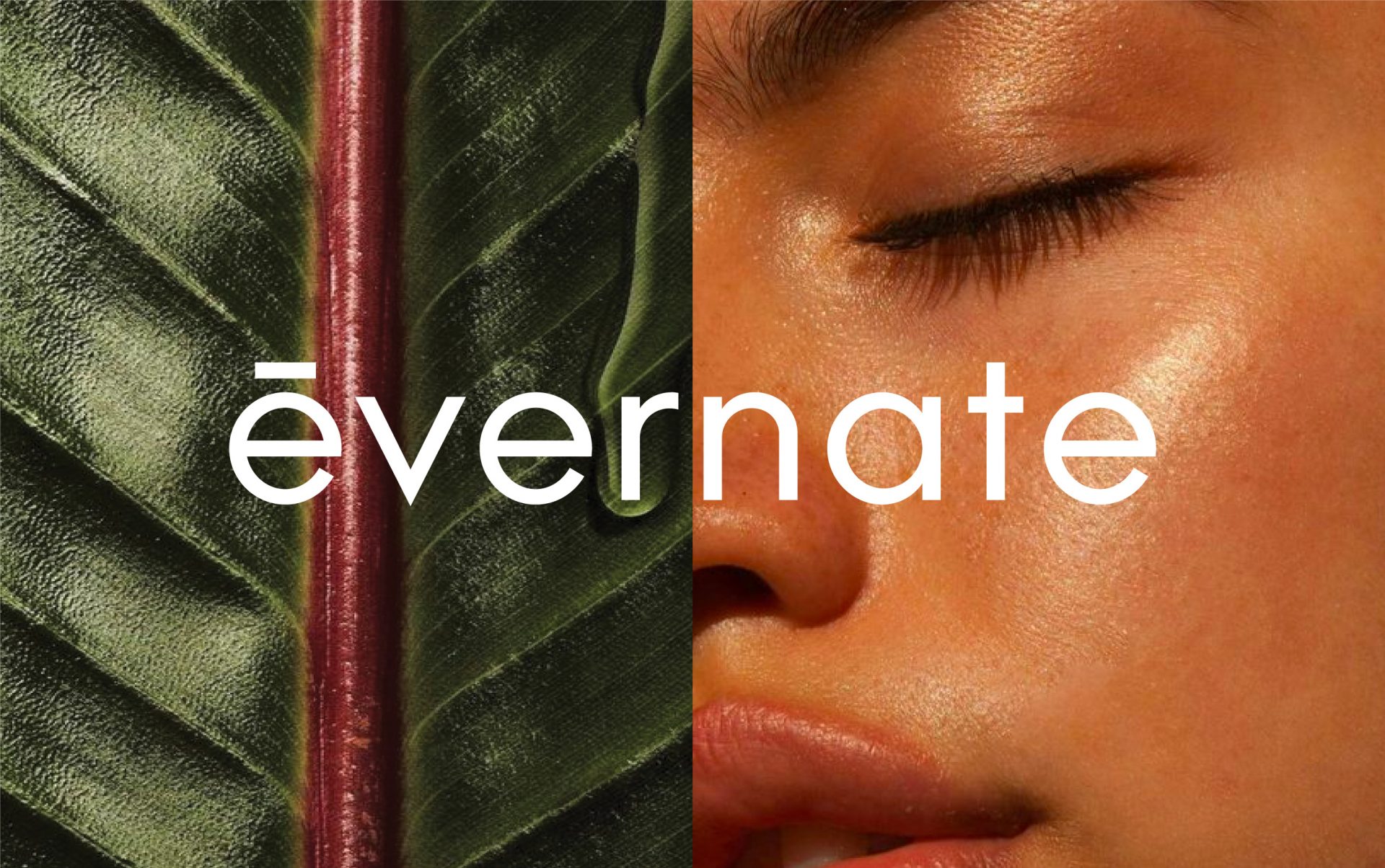Evernate