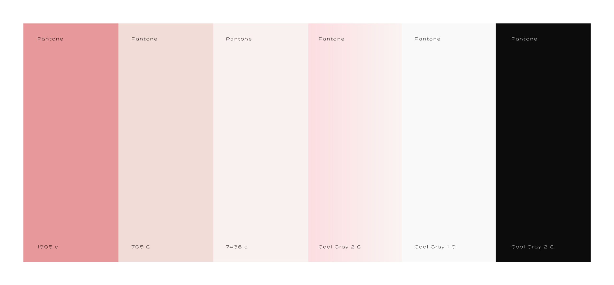 Brand Identity - Brand Design Agency Work