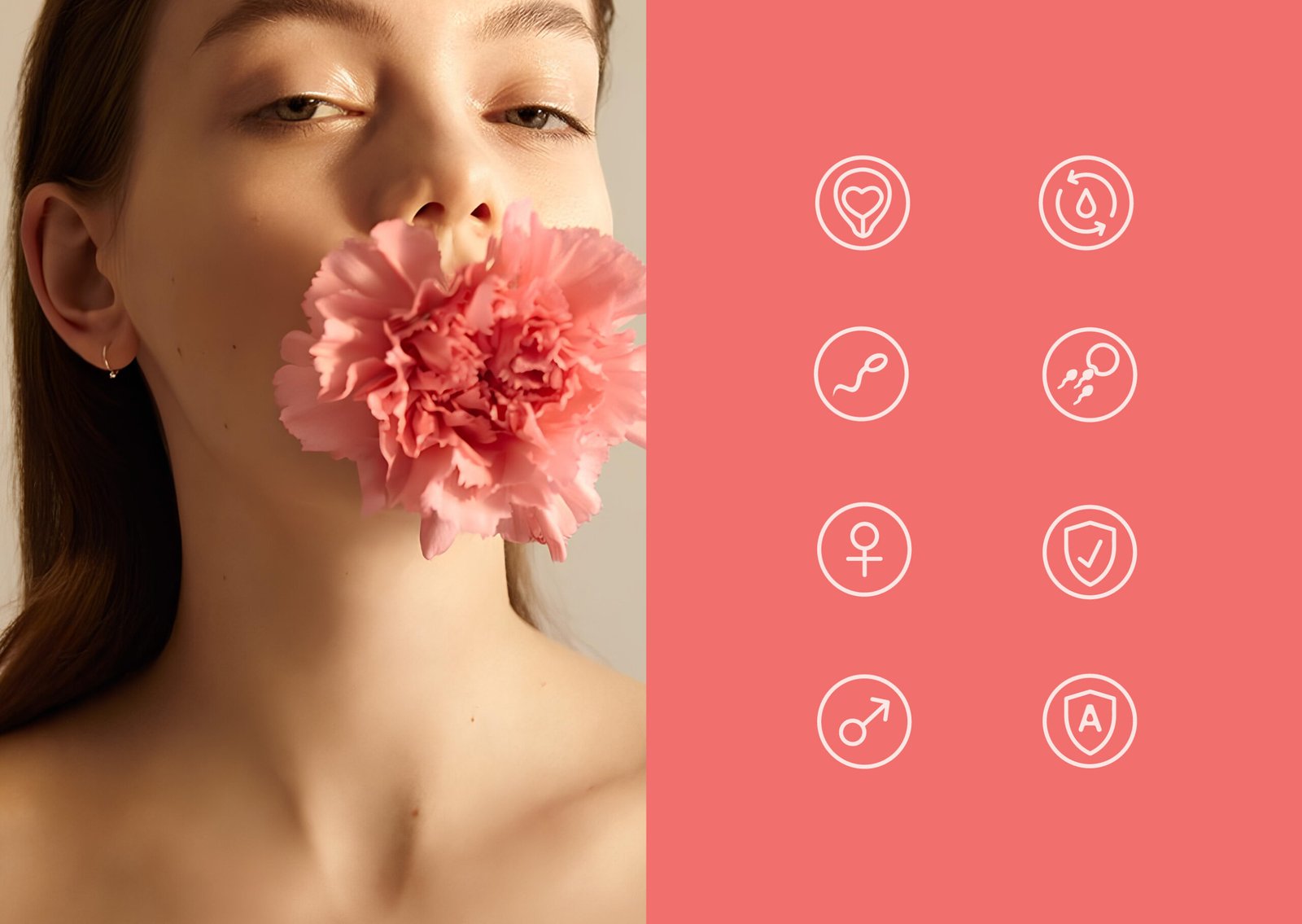 Brand Identity - Brand Design Agency Work