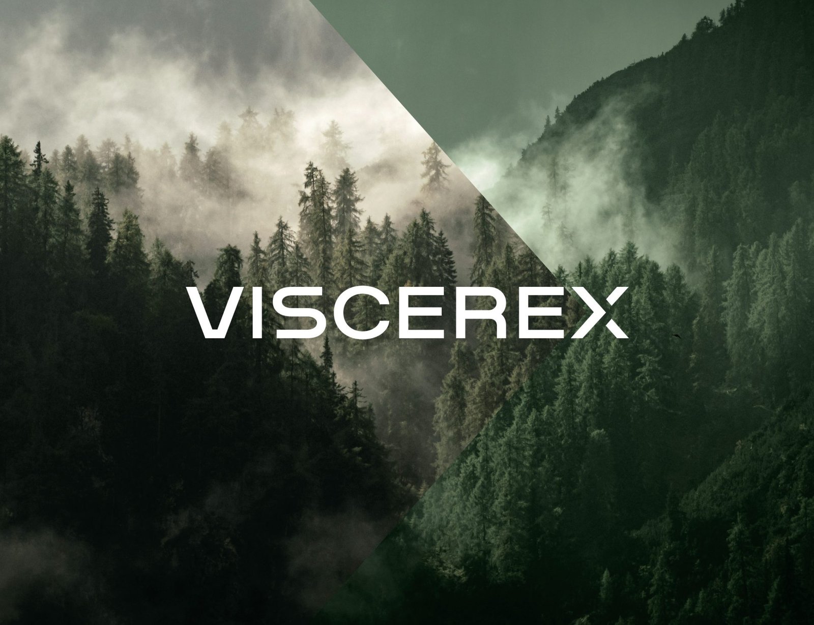 Viscerex