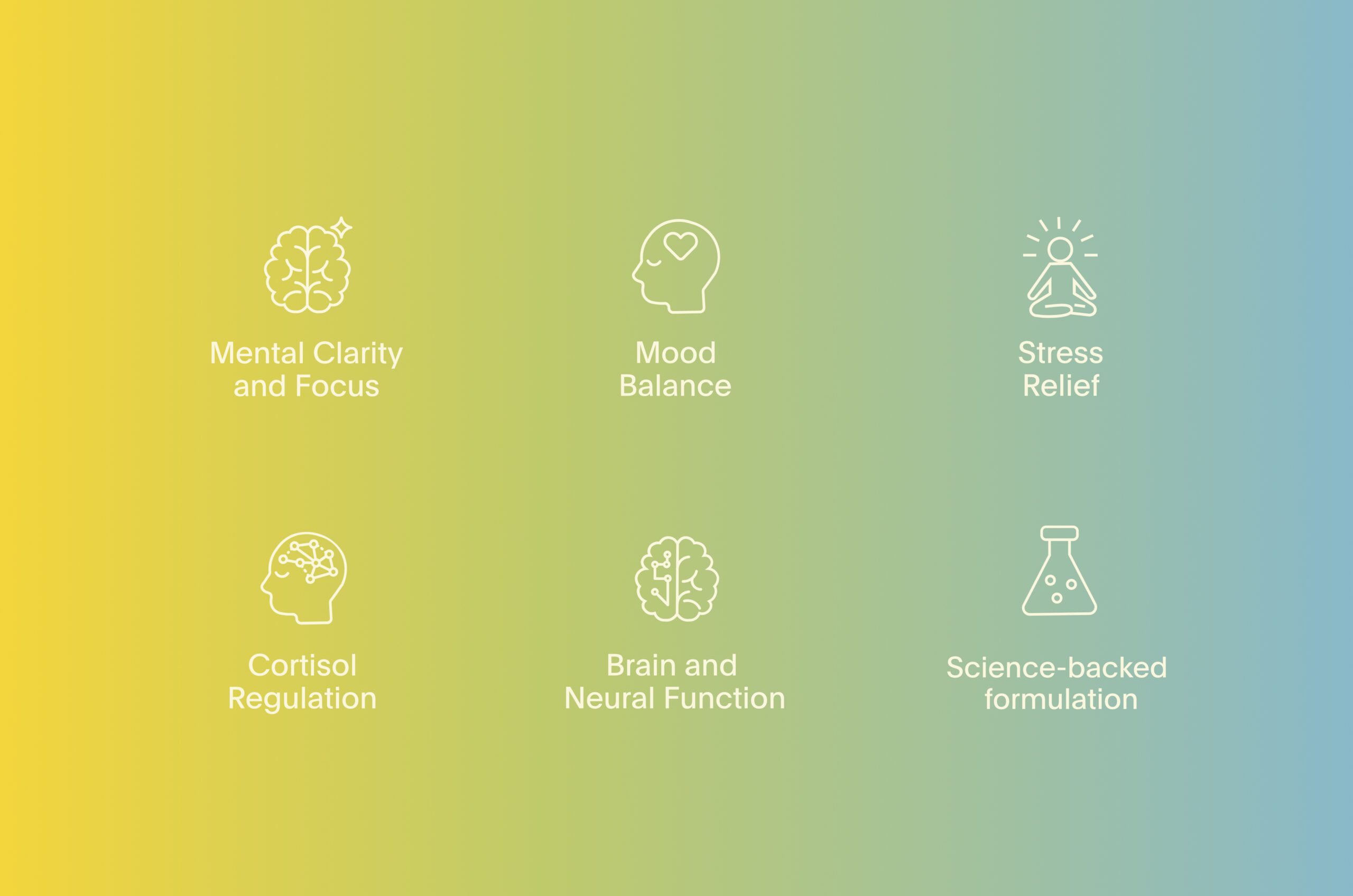 Brand Design - Branding Agency Portfolio