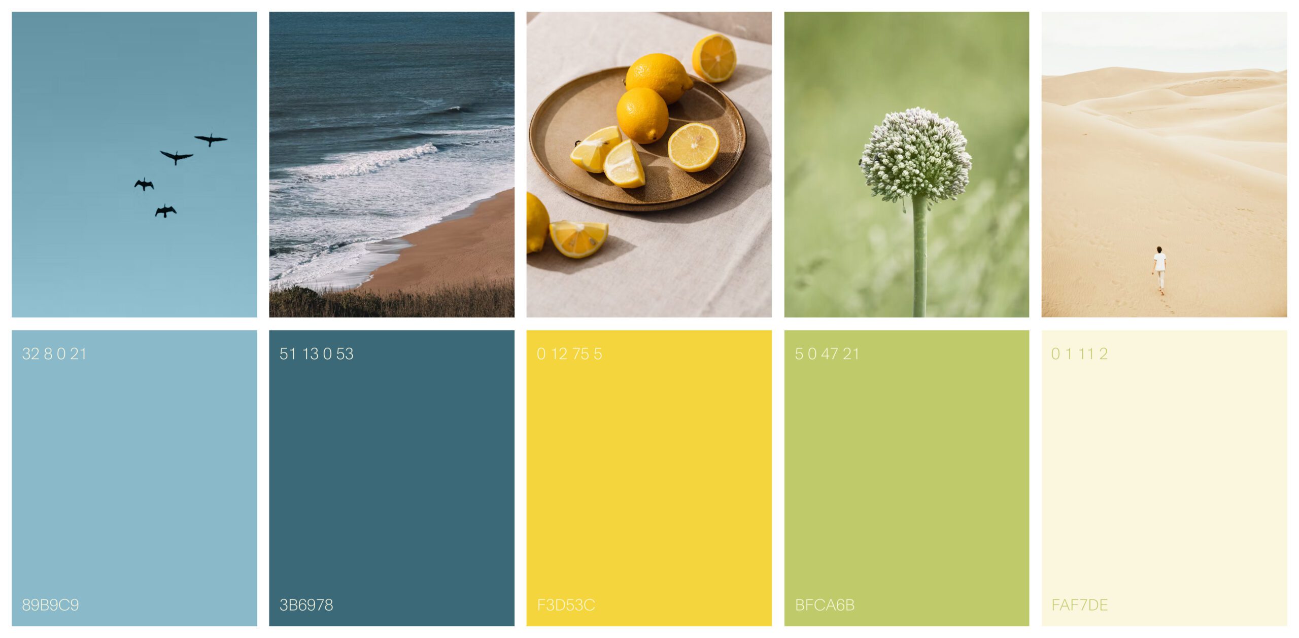 Brand Design - Branding Agency Portfolio