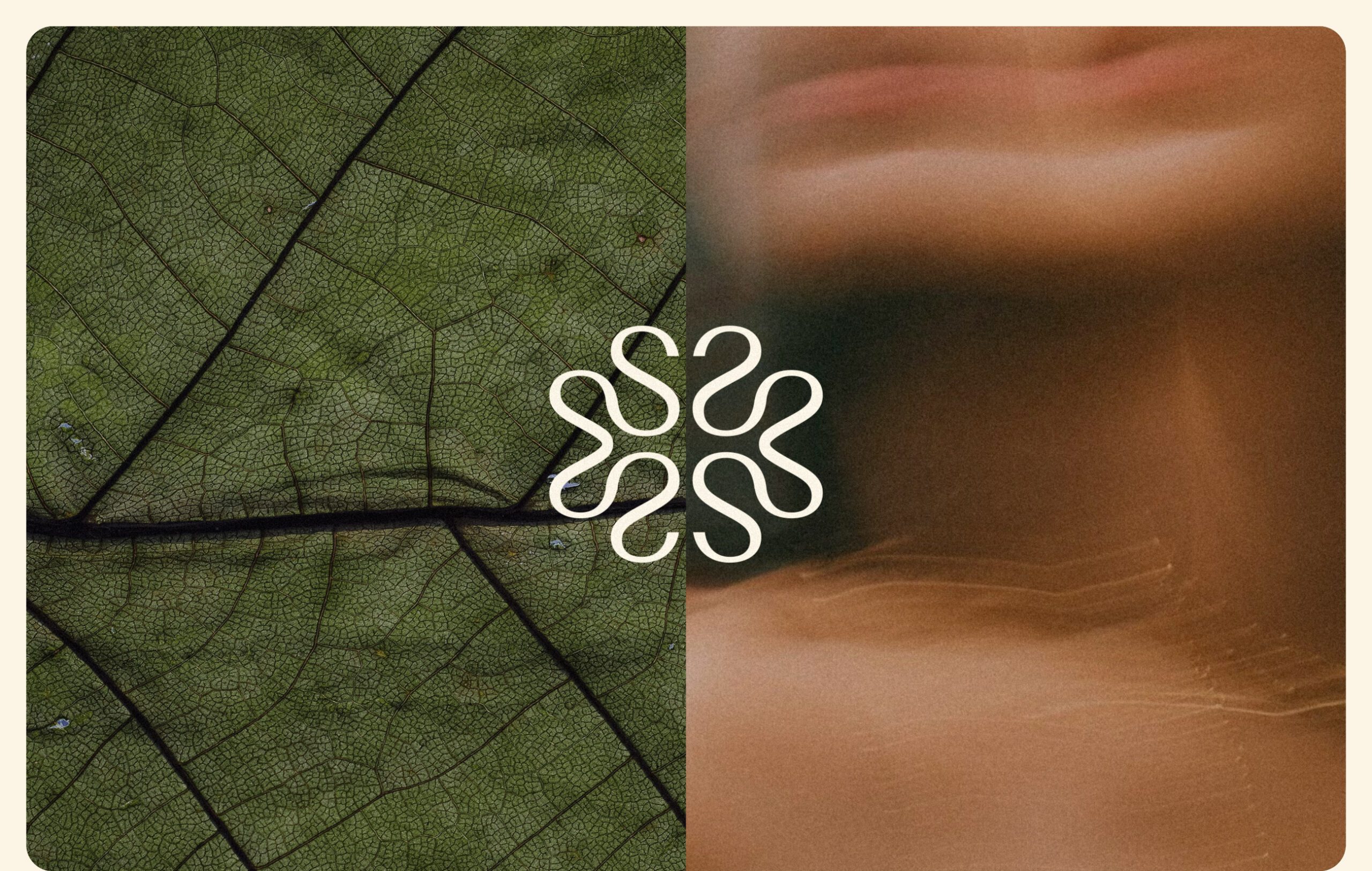 Serenique Brand Design - Portfolio Image