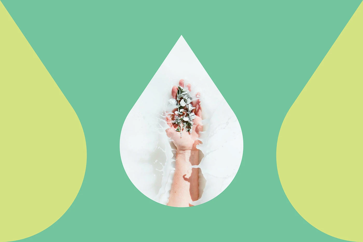 Planty droplet window on green showing a hand pouring milk between lime corners