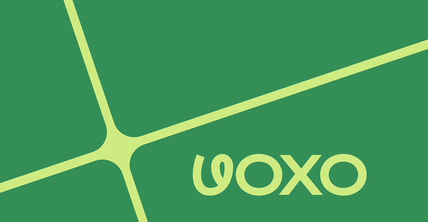 VOXO 3D Rendering