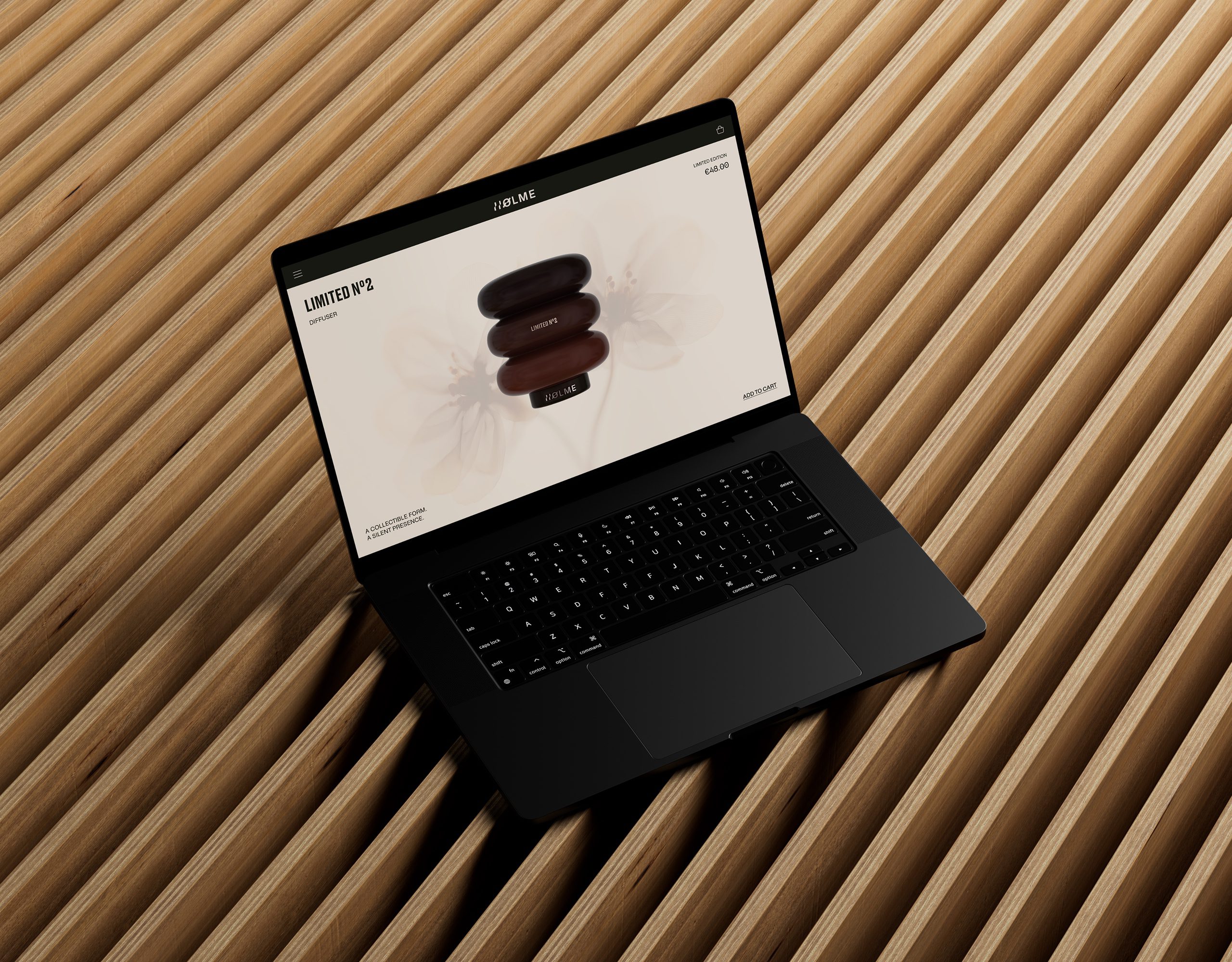 HOLME Presentation 03