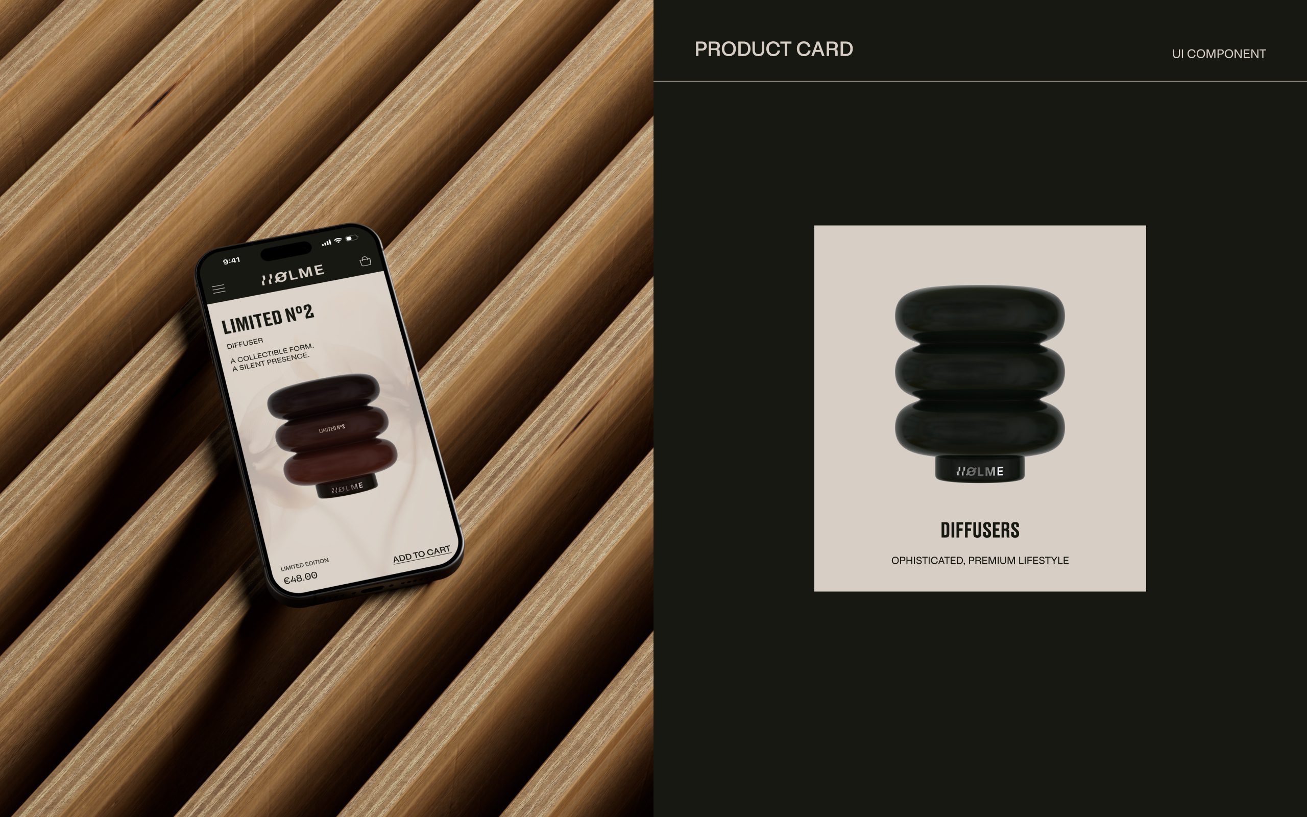 HOLME Presentation 05