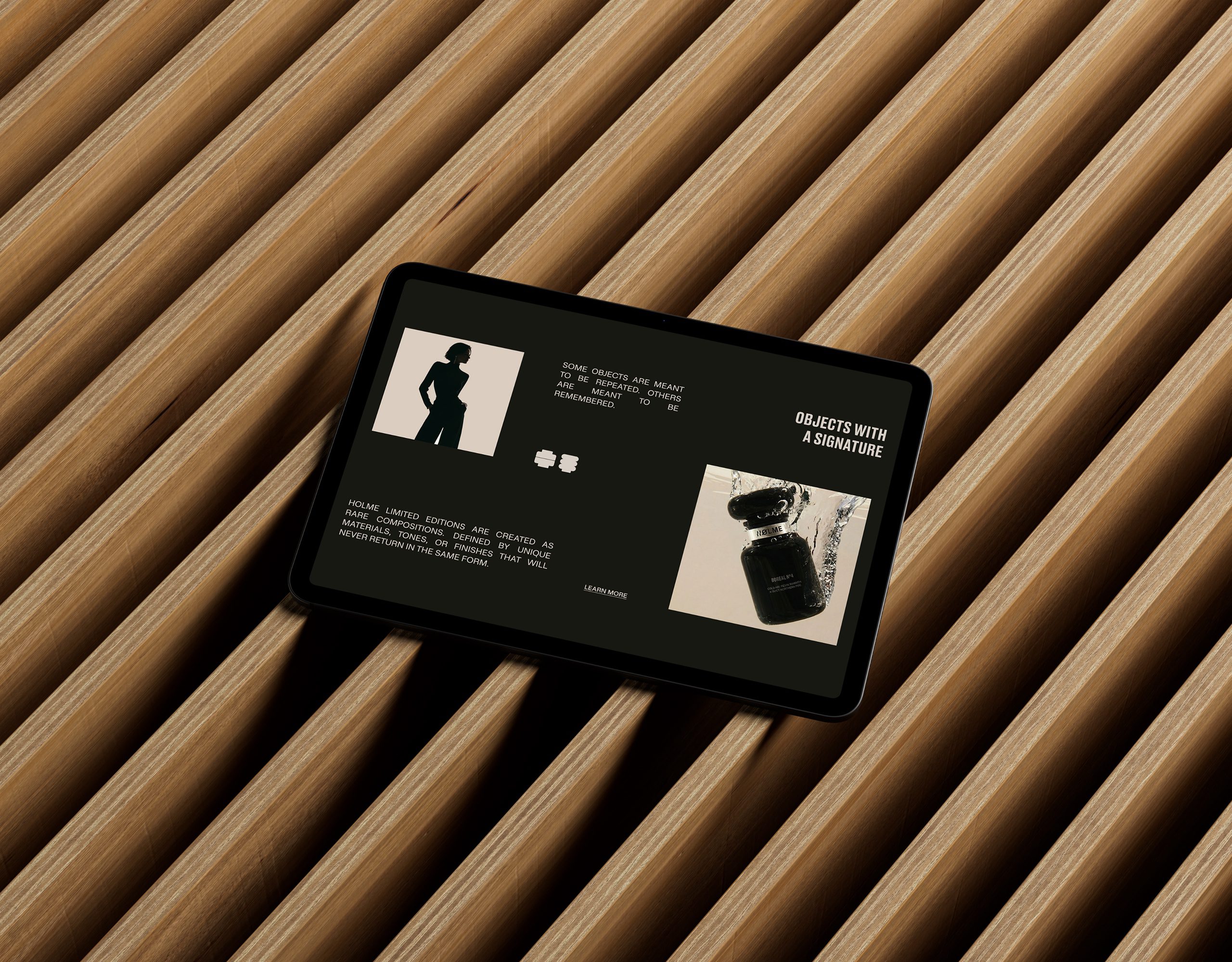 HOLME Presentation 09