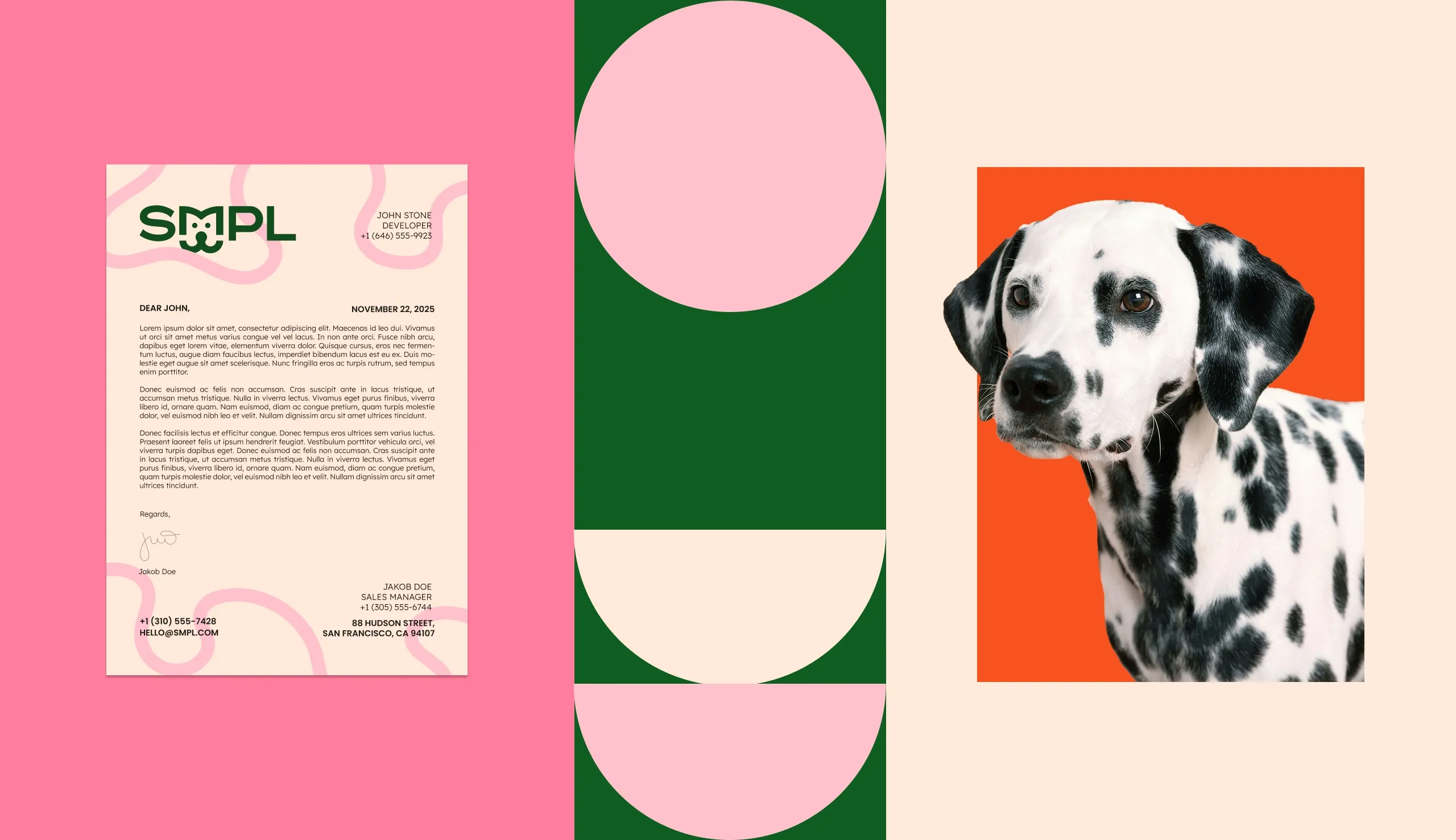 SMPL Pet Co. Brand Guidelines and System