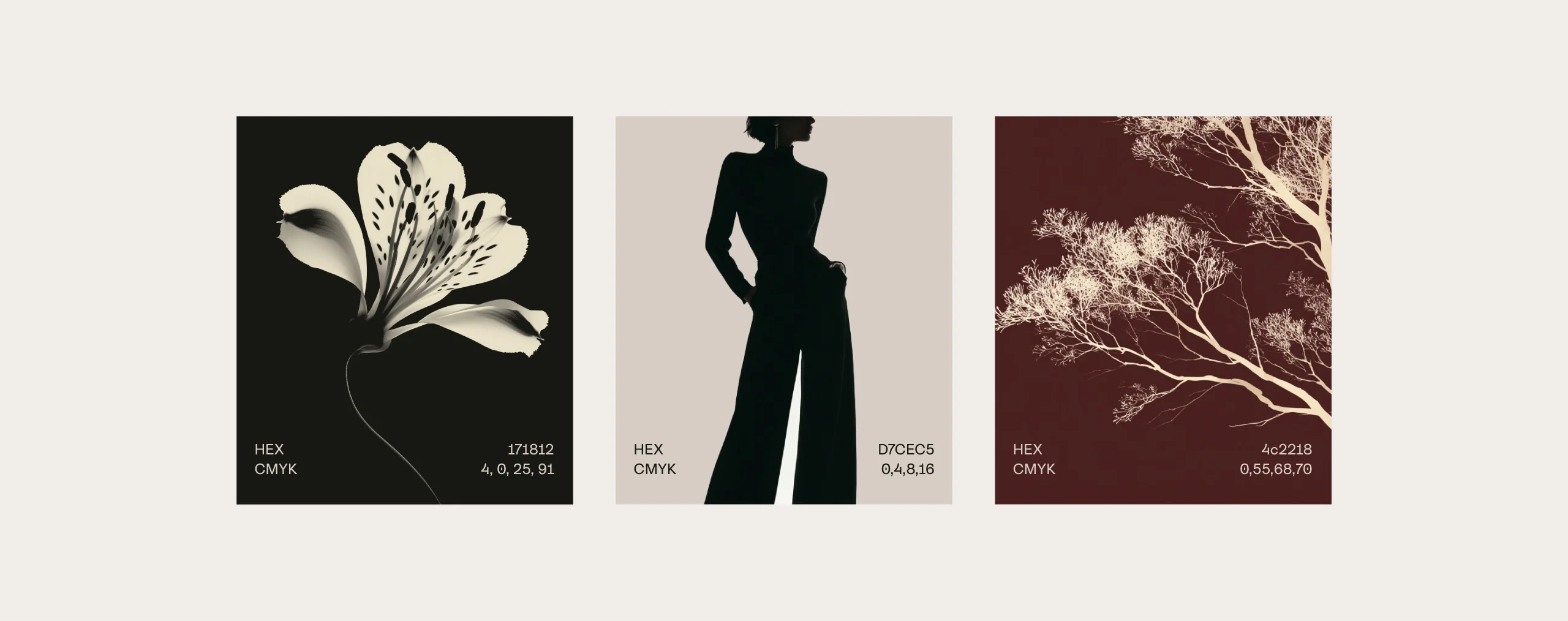 HOLME Presentation 02