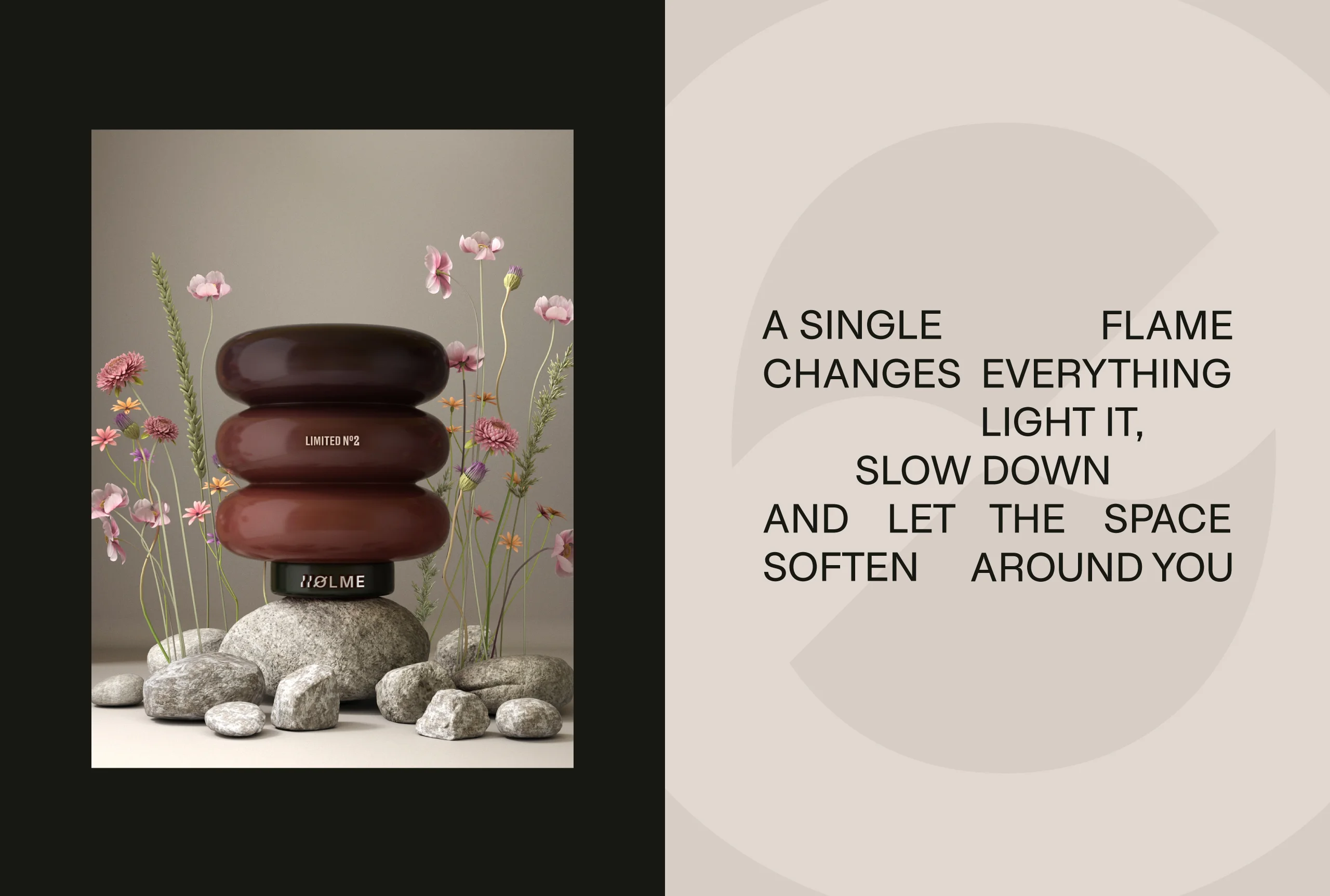 HOLME Presentation 14