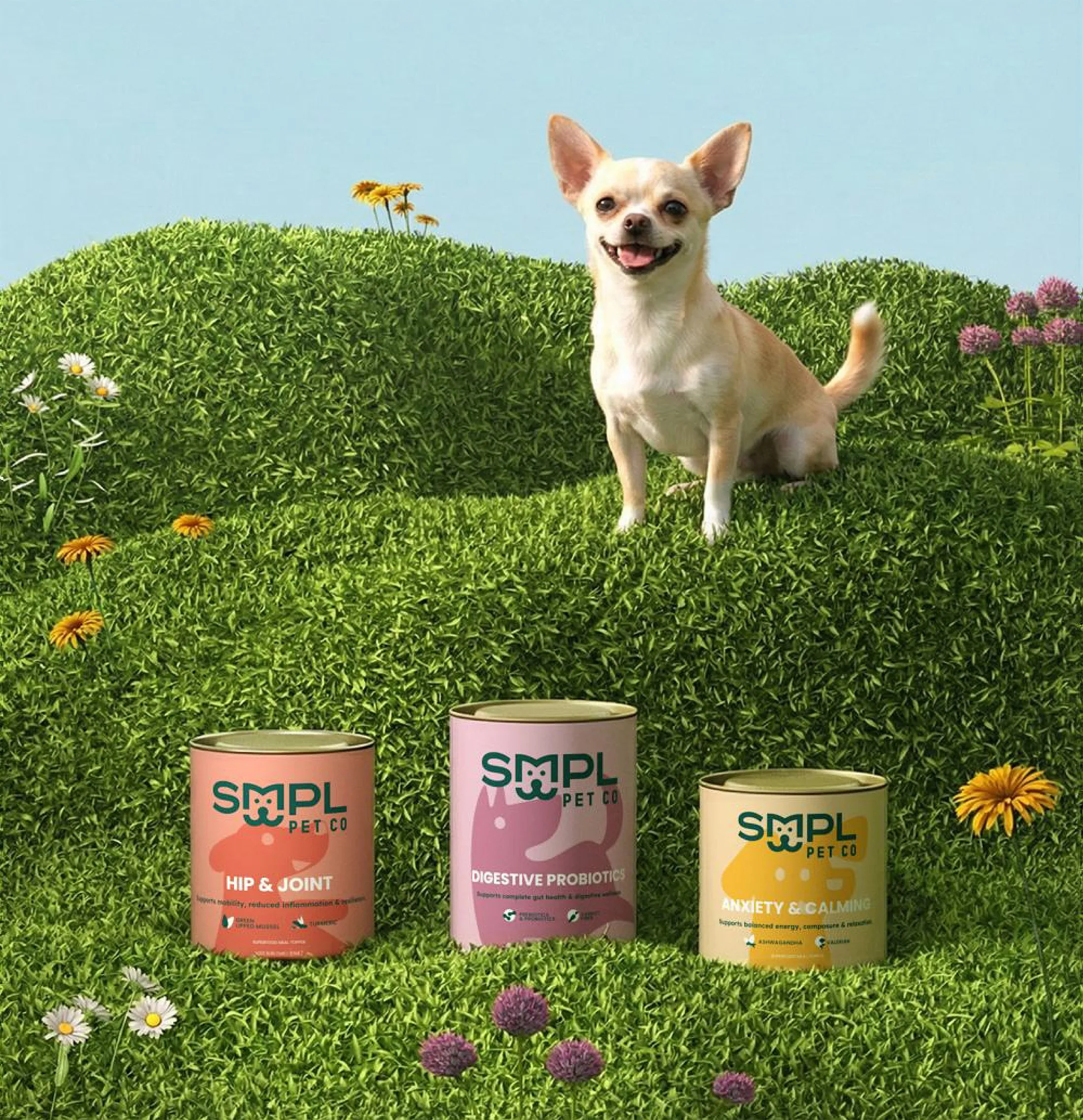 SMPL Pet Co. Brand Photography Style