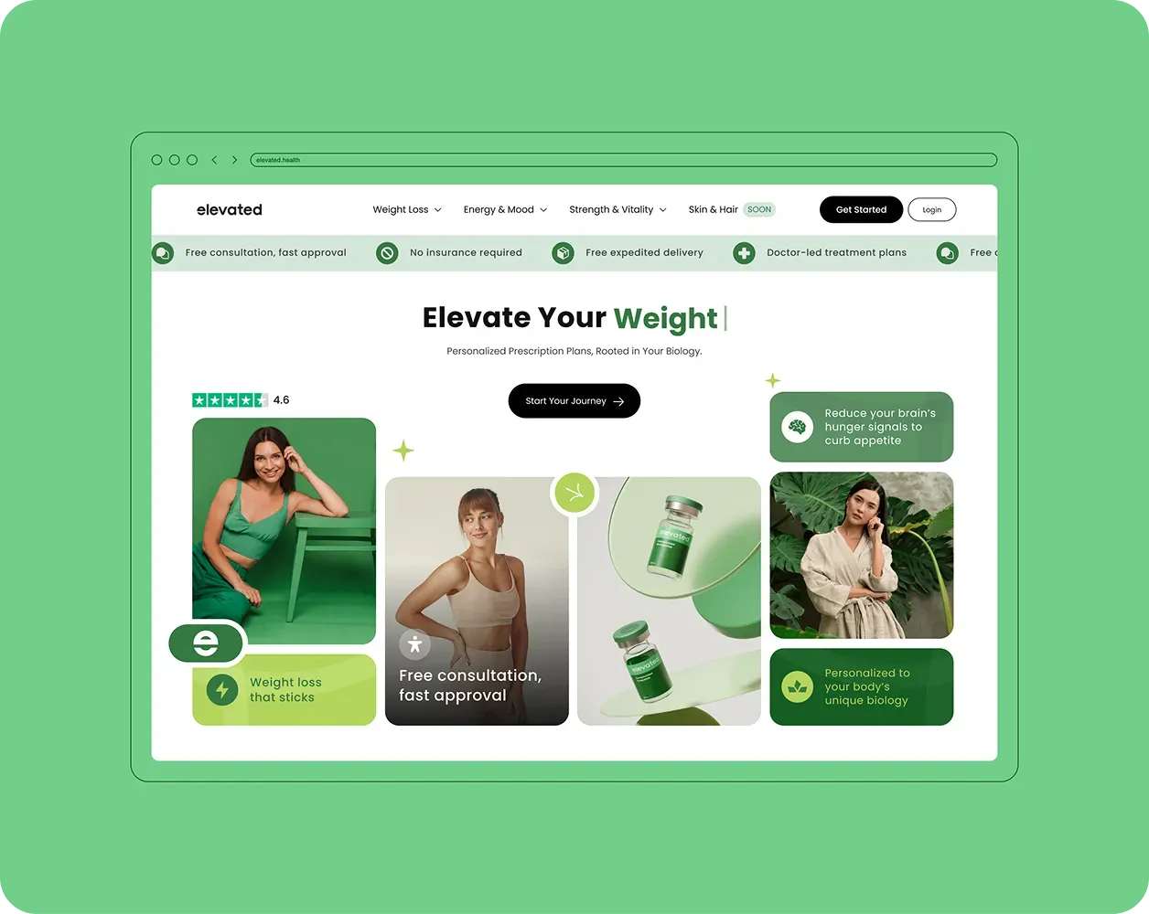 Web Design