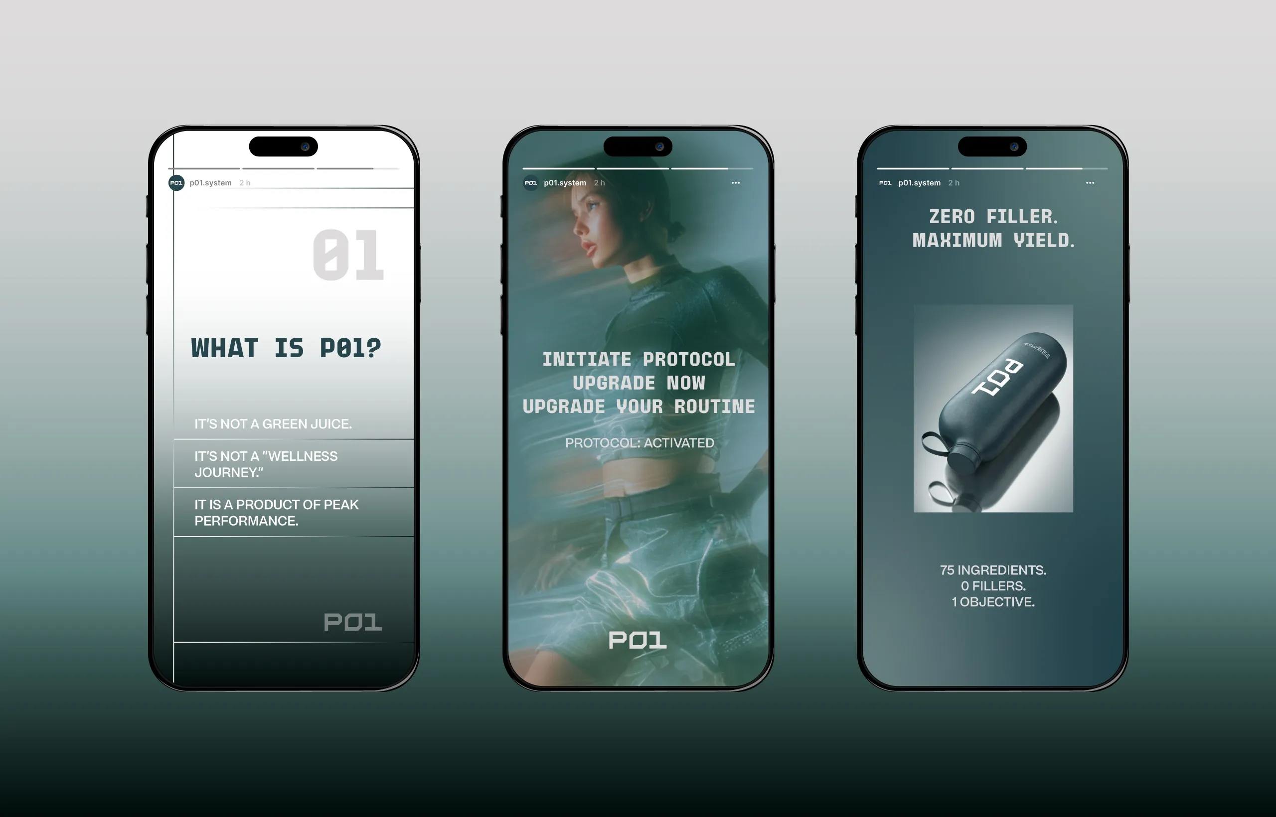 P01 Presentation 13