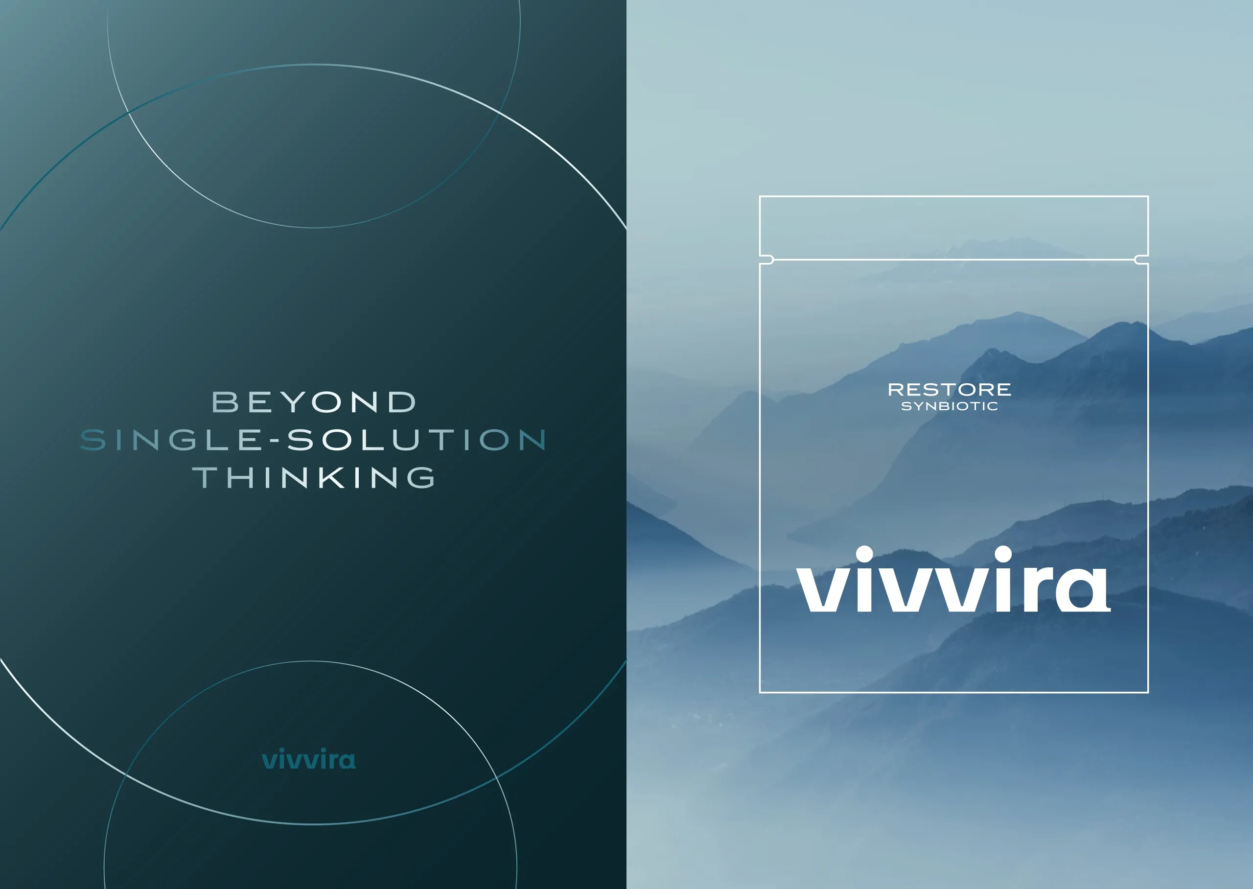 VIVVIRA Presentation 13