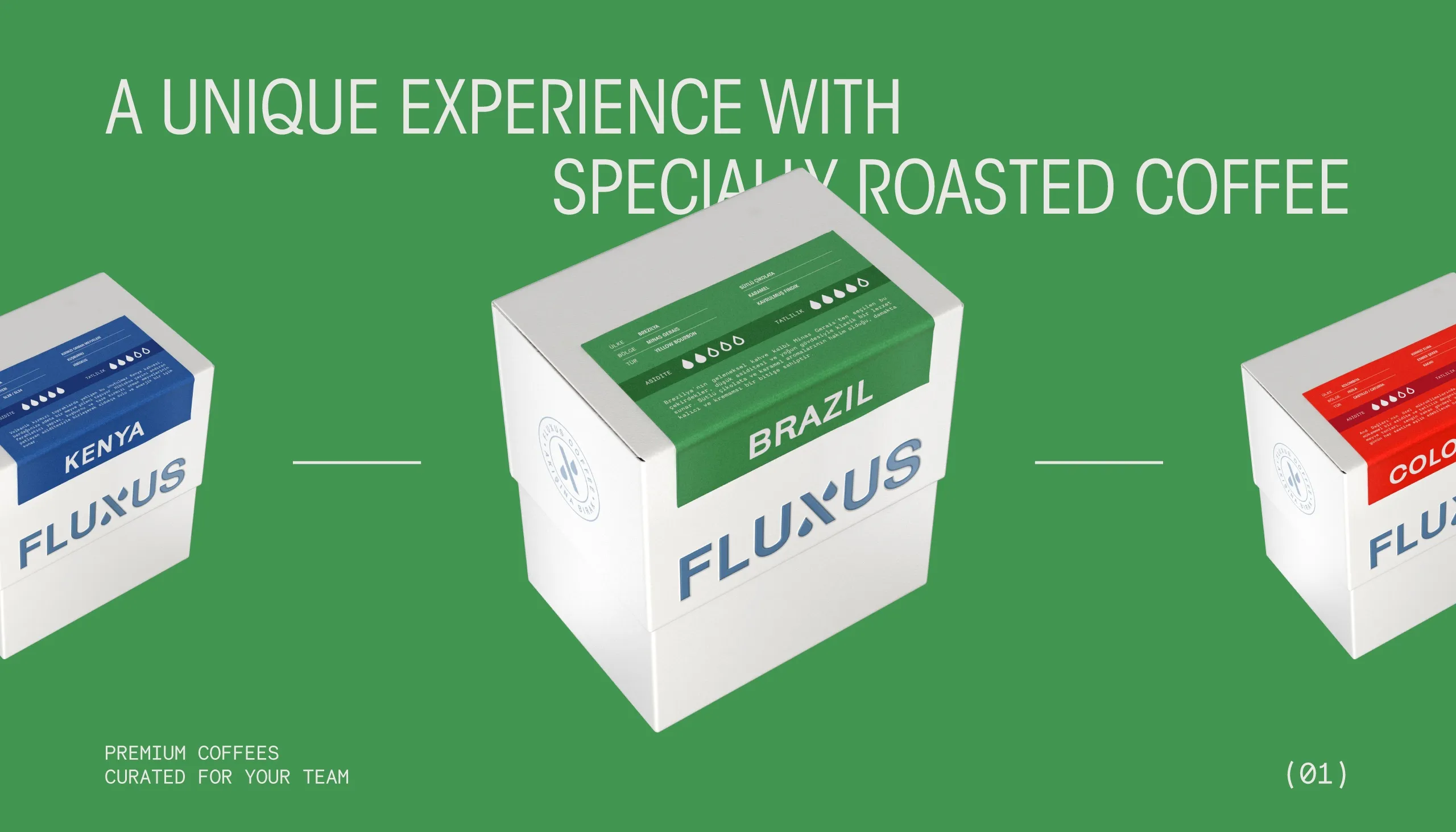 Fluxus Coffee Presentation 05