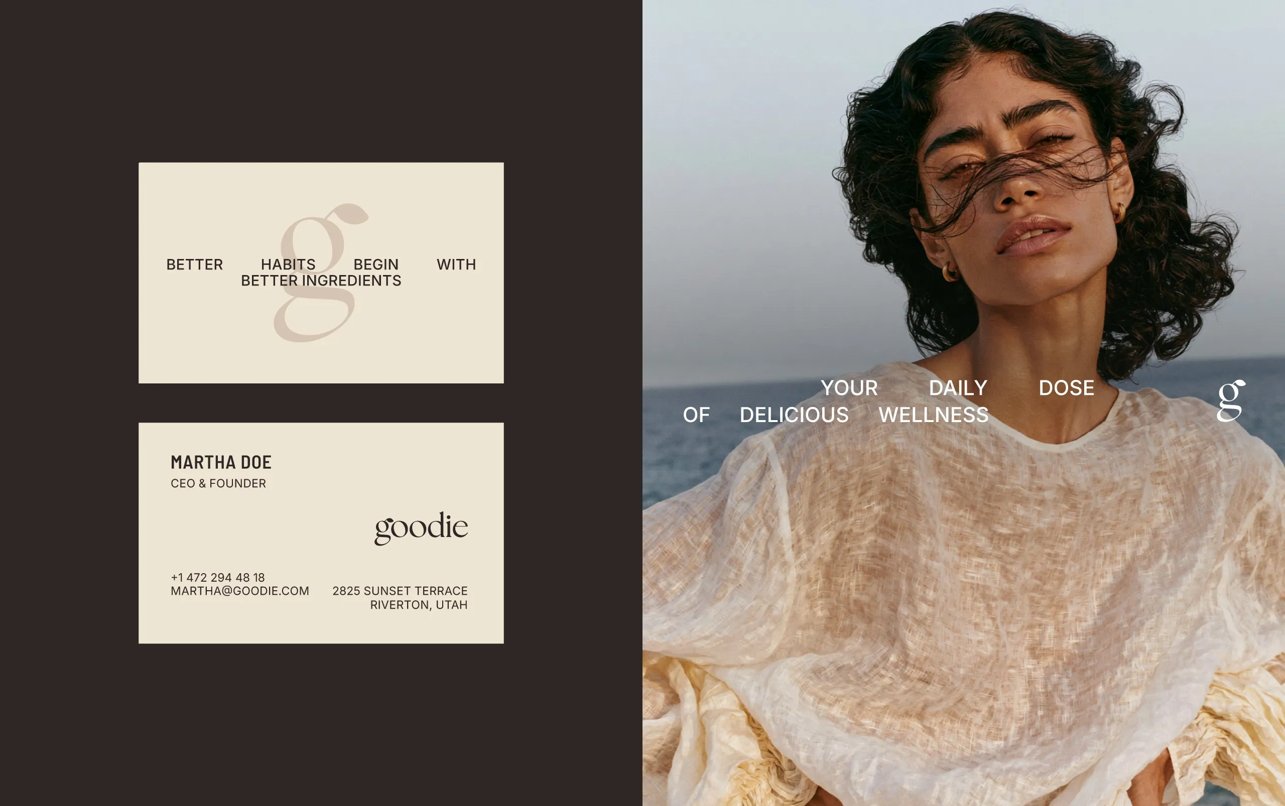 Goodie Presentation 05