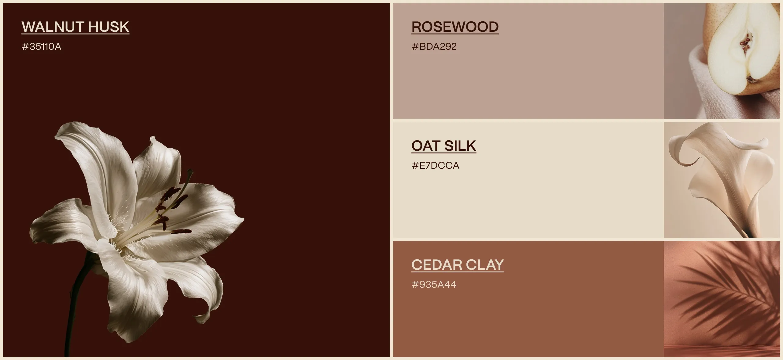 ROOT colour palette of Walnut Husk, Rosewood, Oat Silk and Cedar Clay