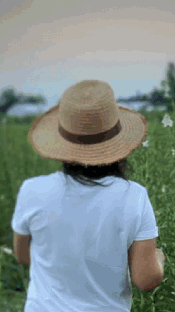 Animated Cey Natural Foods sequence, from a field portrait and logo sketches through to the Kiki quinoa chips pouch